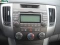 Radiant Silver - Sonata GLS Photo No. 17