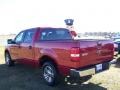Redfire Metallic - F150 XLT SuperCrew Photo No. 7