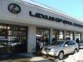Savannah Metallic - RX 350 AWD Photo No. 1