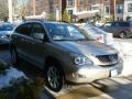 Savannah Metallic - RX 350 AWD Photo No. 3