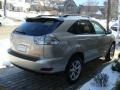 Savannah Metallic - RX 350 AWD Photo No. 4