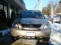 Savannah Metallic - RX 350 AWD Photo No. 2