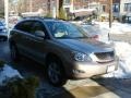 Savannah Metallic - RX 350 AWD Photo No. 3