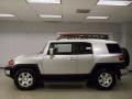 Titanium Metallic - FJ Cruiser  Photo No. 3