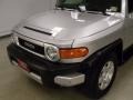 Titanium Metallic - FJ Cruiser  Photo No. 4