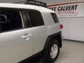 Titanium Metallic - FJ Cruiser  Photo No. 6