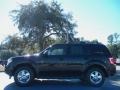 2011 Tuxedo Black Metallic Ford Escape XLT V6  photo #2