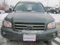 Oasis Green Pearl - Highlander V6 4WD Photo No. 19