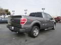 2010 Sterling Grey Metallic Ford F150 STX SuperCab  photo #6