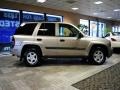 Light Pewter Metallic - TrailBlazer LS 4x4 Photo No. 9