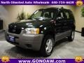 Dark Highland Green Metallic 2002 Ford Escape XLS V6