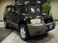 Dark Highland Green Metallic - Escape XLS V6 Photo No. 11