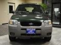 Dark Highland Green Metallic - Escape XLS V6 Photo No. 13