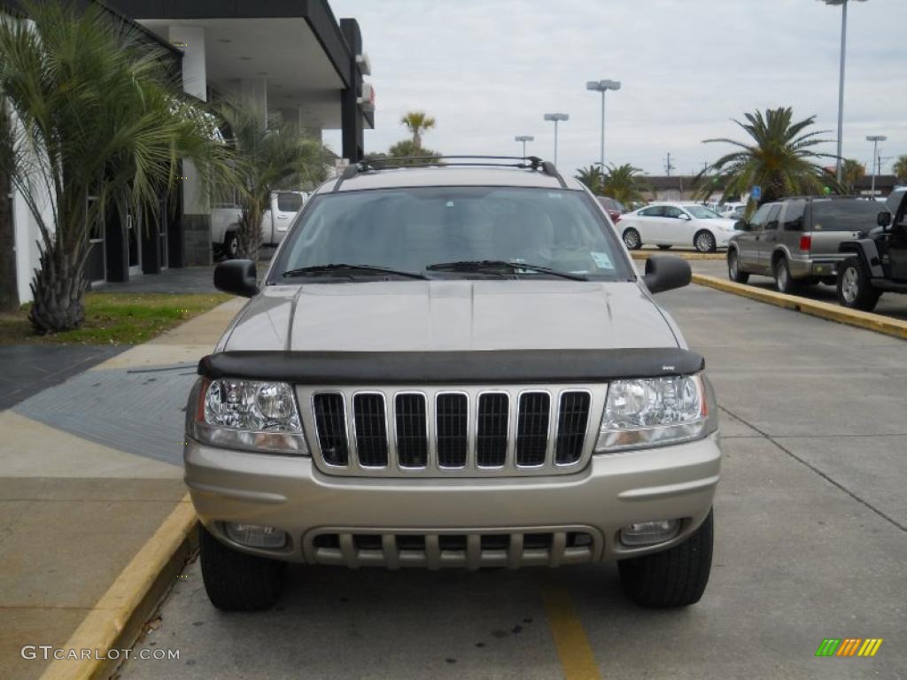 2003 Grand Cherokee Limited - Light Pewter Metallic / Sandstone photo #6