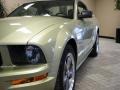2006 Legend Lime Metallic Ford Mustang GT Premium Coupe  photo #2