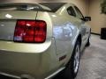 2006 Legend Lime Metallic Ford Mustang GT Premium Coupe  photo #11