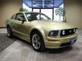 2006 Legend Lime Metallic Ford Mustang GT Premium Coupe  photo #13