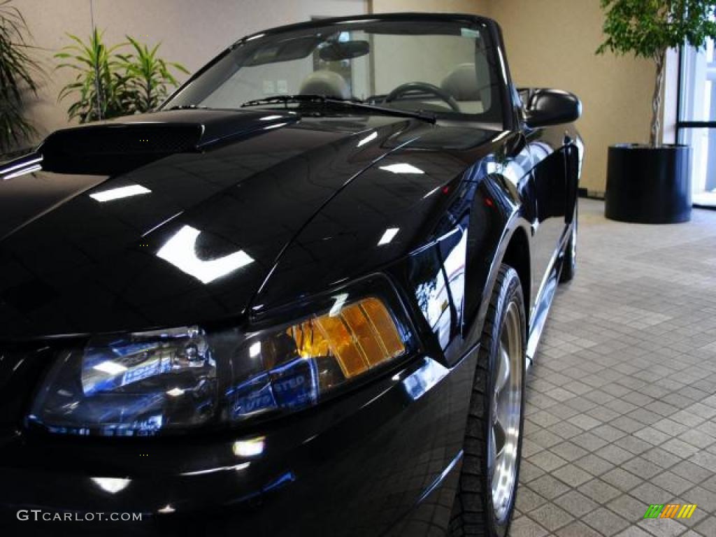 2003 Mustang GT Convertible - Black / Medium Parchment photo #4