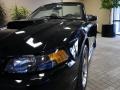 2003 Black Ford Mustang GT Convertible  photo #4