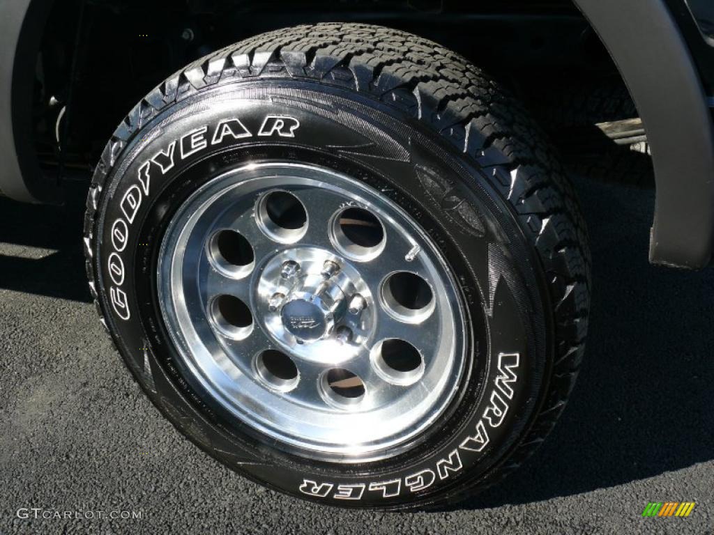 2006 F150 FX4 SuperCrew 4x4 - Black / Black photo #14