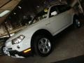Alpine White - X3 3.0si Photo No. 1