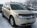 White Gold - Journey SXT Photo No. 16