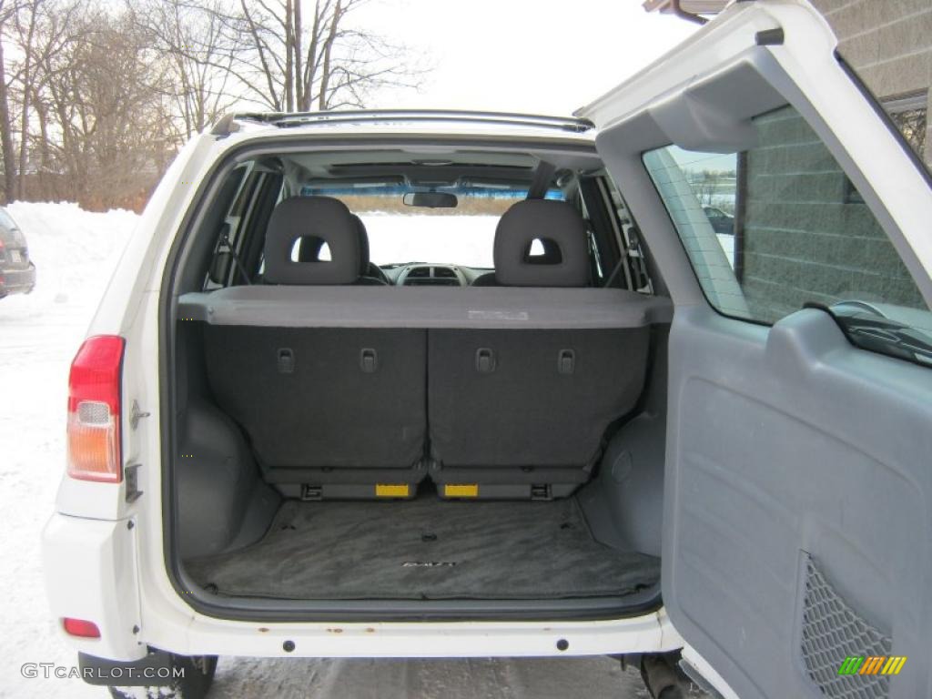 2003 RAV4 4WD - Natural White / Gray photo #6