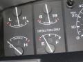 Tan Gauges Photo for 1995 Ford F250 #43123402