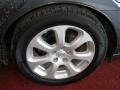 Precision Gray Metallic - Maxima 3.5 SL Photo No. 5