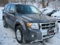 2009 Sterling Grey Metallic Ford Escape Limited V6  photo #15