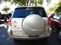 Savannah Metallic - RAV4 I4 Photo No. 2