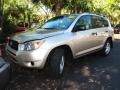 Savannah Metallic - RAV4 I4 Photo No. 4