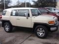 Sandstorm Metallic - FJ Cruiser  Photo No. 4