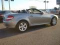 2006 Pewter Metallic Mercedes-Benz SLK 280 Roadster  photo #5