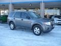 2009 Sterling Grey Metallic Ford Escape XLS 4WD  photo #1