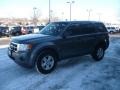 2009 Sterling Grey Metallic Ford Escape XLS 4WD  photo #2