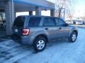2009 Sterling Grey Metallic Ford Escape XLS 4WD  photo #6