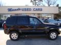Black Clearcoat - Liberty Sport Photo No. 1