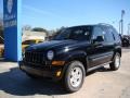 Black Clearcoat - Liberty Sport Photo No. 4