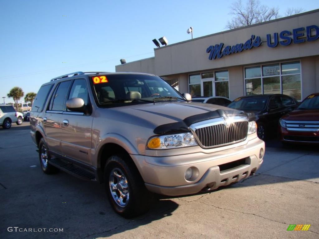 2002 Navigator Luxury 4x4 - Light Parchment Gold Metallic / Medium Parchment photo #2