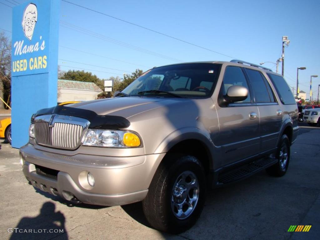 2002 Navigator Luxury 4x4 - Light Parchment Gold Metallic / Medium Parchment photo #4