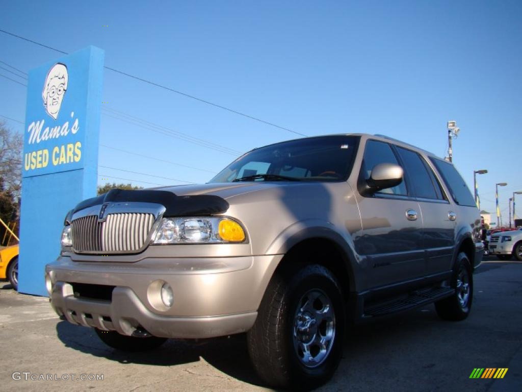 2002 Navigator Luxury 4x4 - Light Parchment Gold Metallic / Medium Parchment photo #5