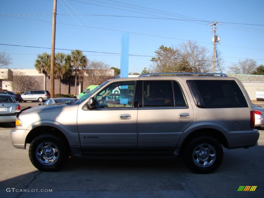 2002 Navigator Luxury 4x4 - Light Parchment Gold Metallic / Medium Parchment photo #6