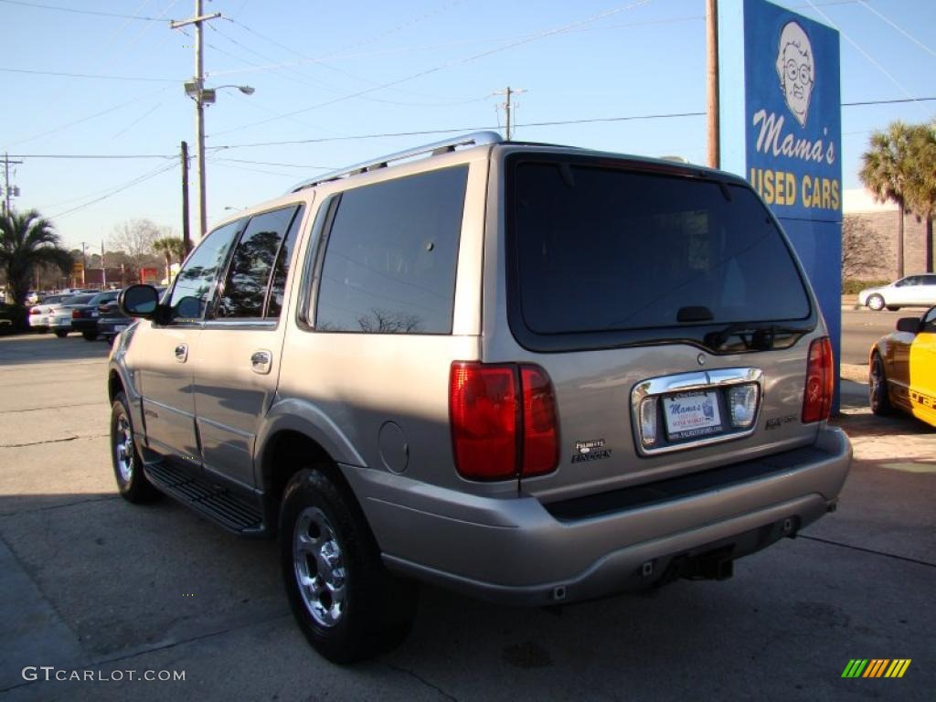 2002 Navigator Luxury 4x4 - Light Parchment Gold Metallic / Medium Parchment photo #7