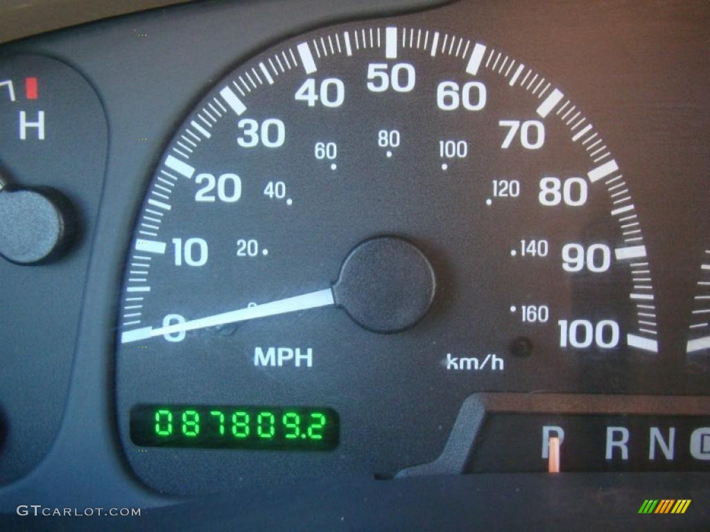 2002 Navigator Luxury 4x4 - Light Parchment Gold Metallic / Medium Parchment photo #33