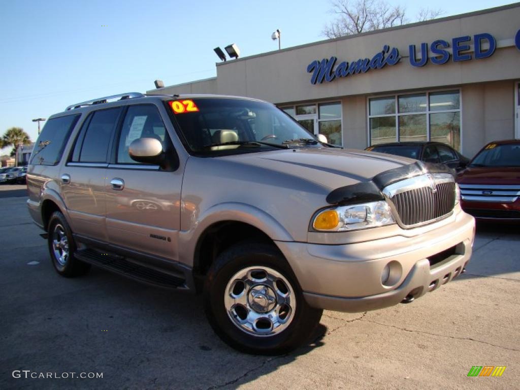 2002 Navigator Luxury 4x4 - Light Parchment Gold Metallic / Medium Parchment photo #37