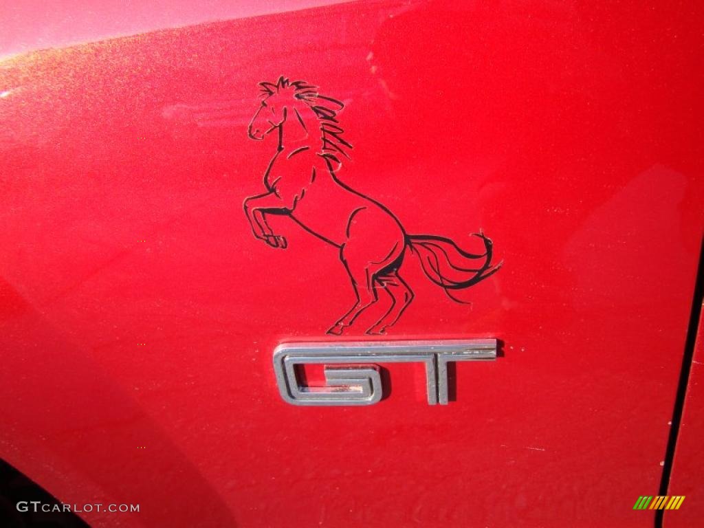 2006 Mustang GT Premium Coupe - Redfire Metallic / Light Graphite photo #31