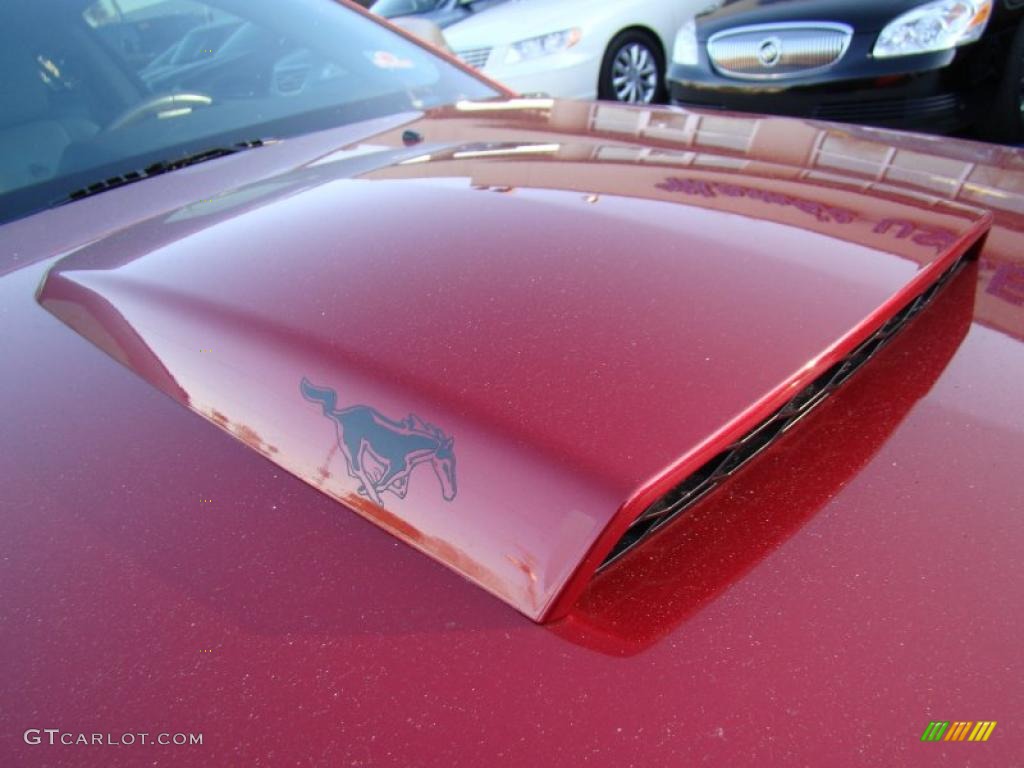 2006 Mustang GT Premium Coupe - Redfire Metallic / Light Graphite photo #32