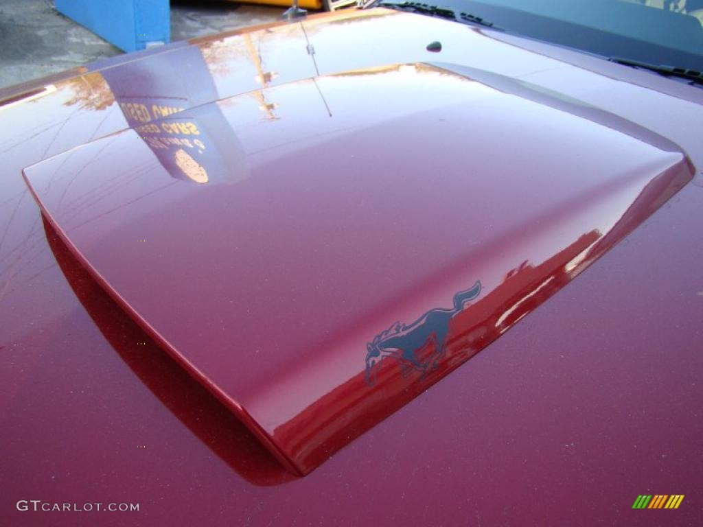 2006 Mustang GT Premium Coupe - Redfire Metallic / Light Graphite photo #37