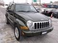 Jeep Green Metallic - Liberty Limited 4x4 Photo No. 9